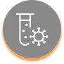 eBizneeds